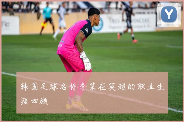 韩国足球名将李某在英超的职业生涯回顾