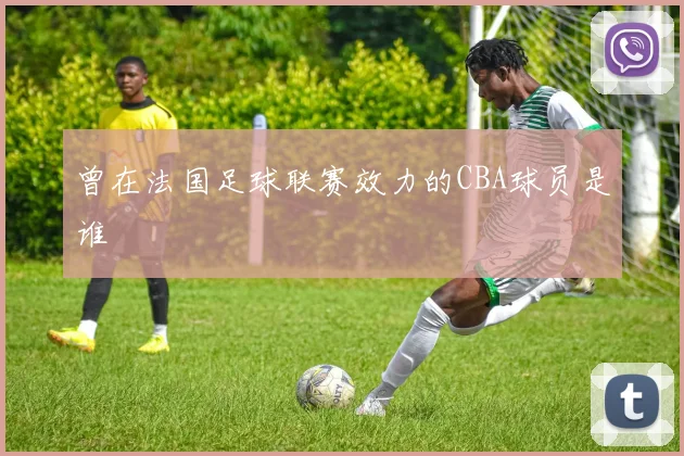 曾在法国足球联赛效力的CBA球员是谁