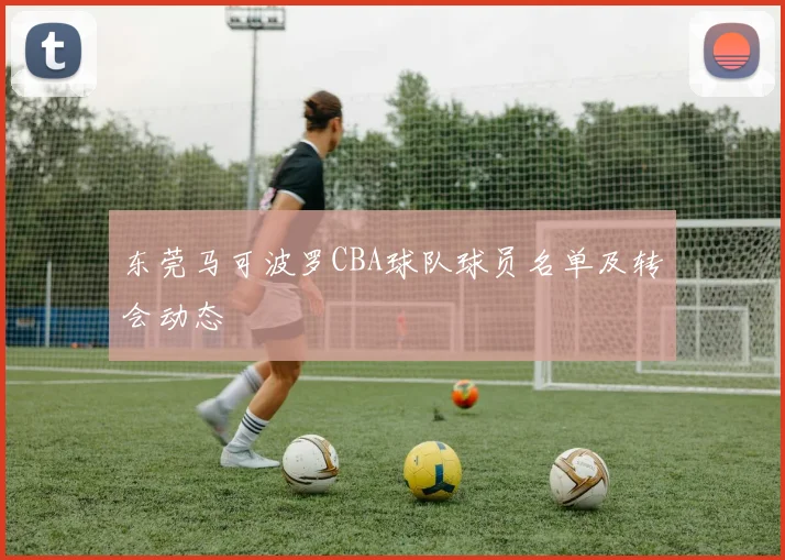 东莞马可波罗CBA球队球员名单及转会动态