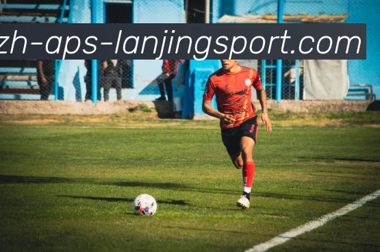 蓝鲸体育品牌故事