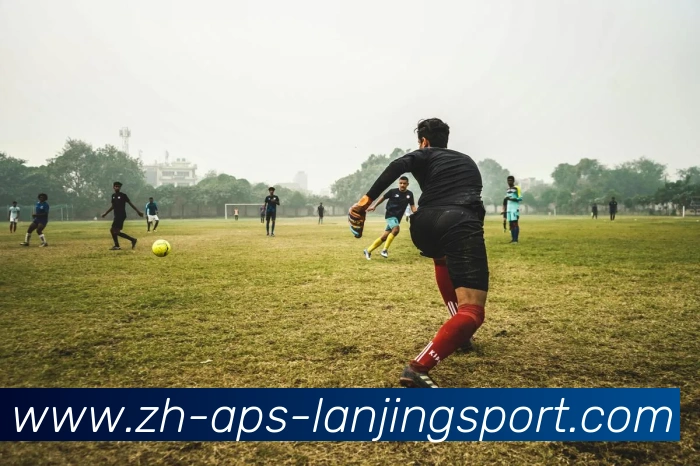 蓝鲸体育服务体系