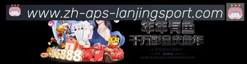 未来规划